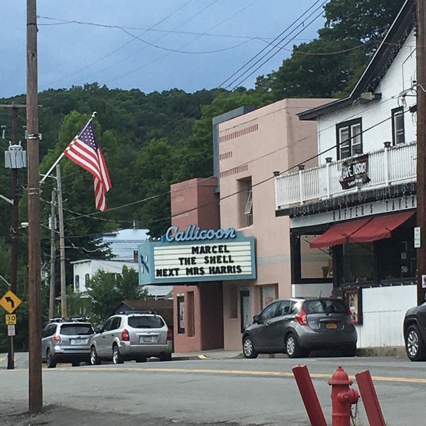 Callicoon Theater Main Street