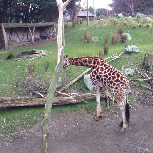 Photo taken at Wellington Zoo by Gajan S. on 6/8/2014