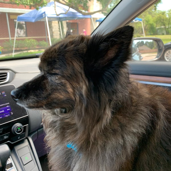 Glenwood Falls Animal Hospital Veterinarian in Cypress