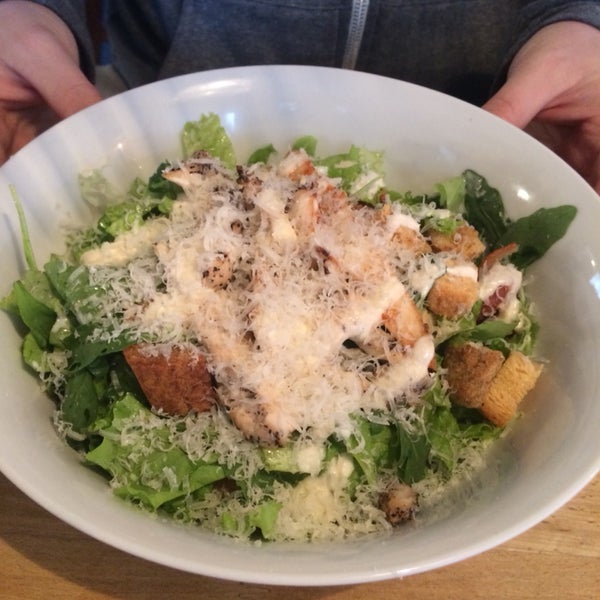 The Caesar salad and chicken ciabatta sandwich were both delicious!