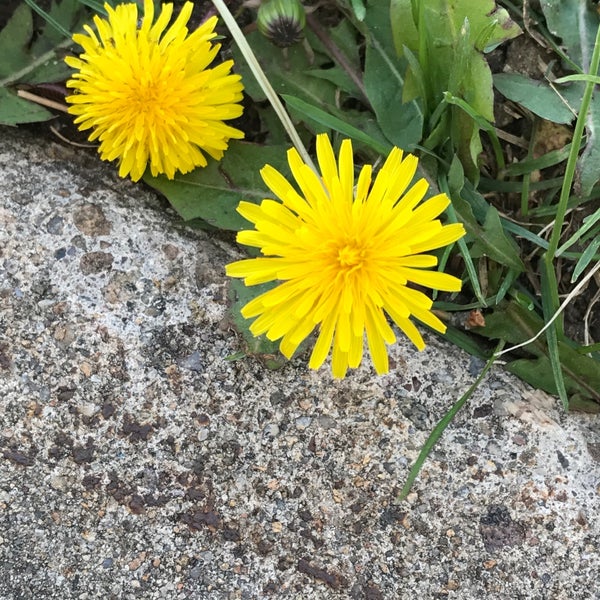 Keewaydin Meadows Park Playground in Boulder