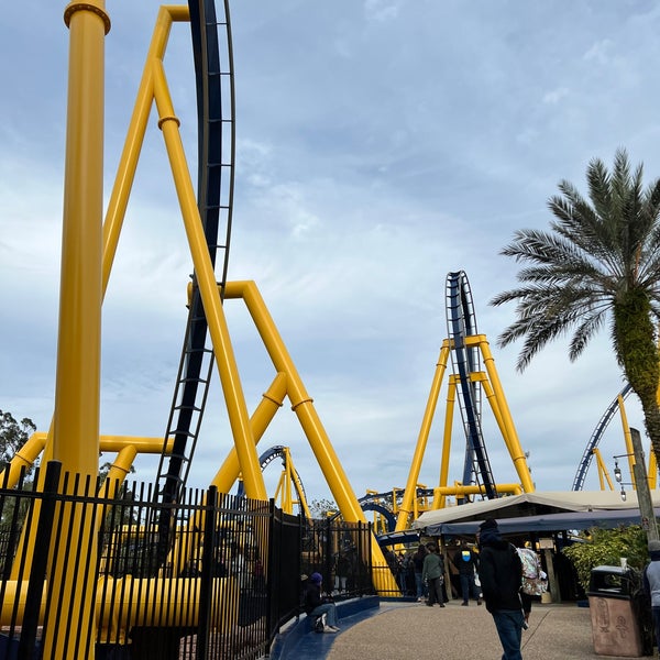 Montu - Coasterpedia - The Roller Coaster and Flat Ride Wiki