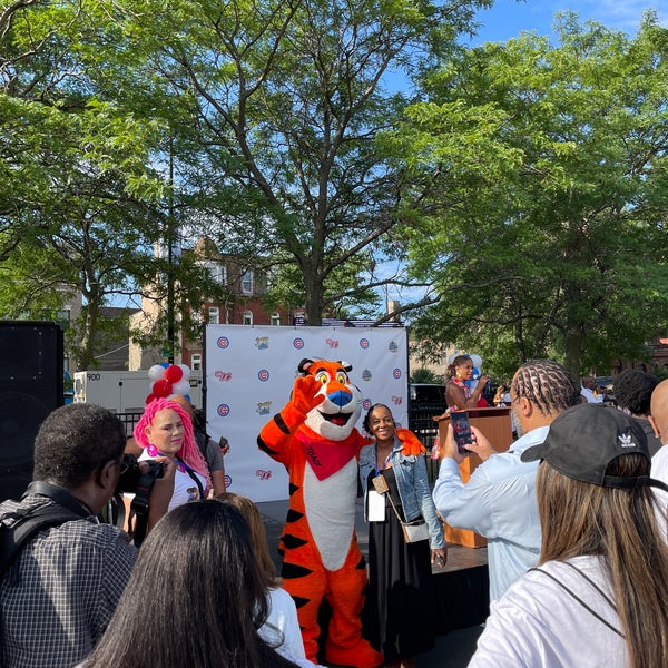 Mandrake Park Bronzeville Chicago, IL