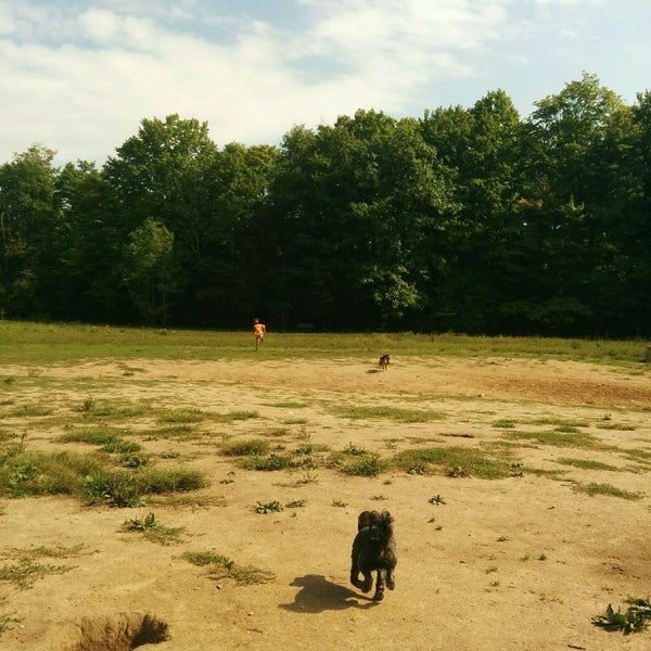 Harmony Valley Dog Park 3 tips from 116 visitors