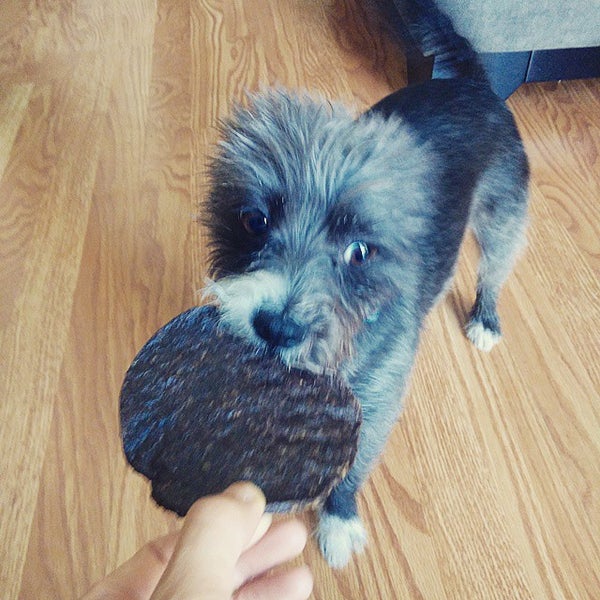 Photos at Anaheim Feed and Pet Supply Pet Store in Anaheim