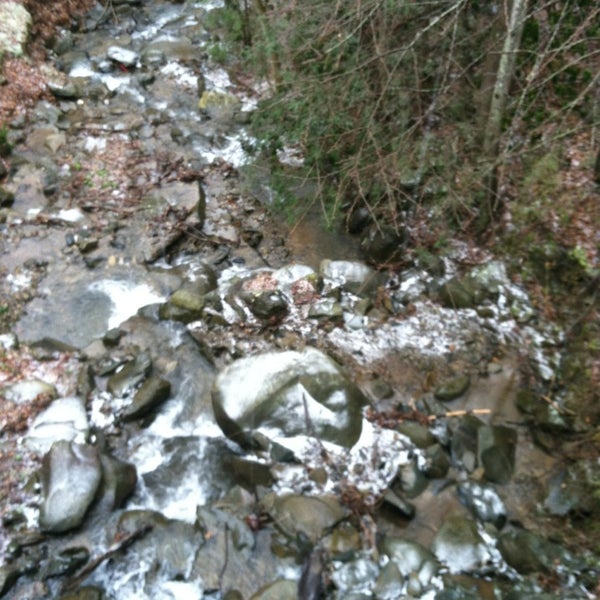 3/5/2013 tarihinde Candice M.ziyaretçi tarafından Chalet Village'de çekilen fotoğraf