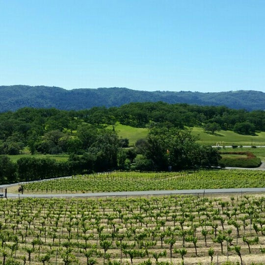 Photo taken at Arrowood Vineyards &amp; Winery by Carolyn on 4/16/2016