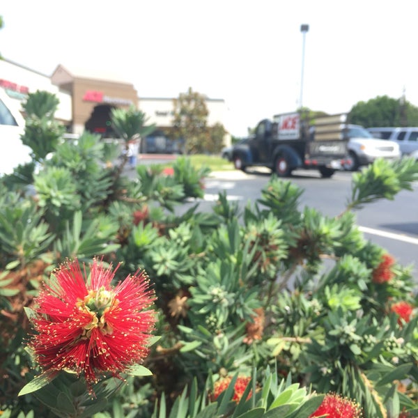 Ace Hardware 3 tips from 181 visitors