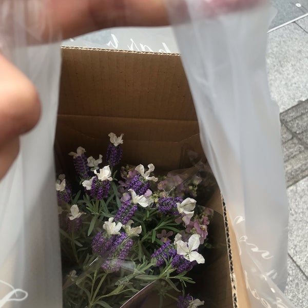 Photos A Salix Garden 赤羽駅前店 13 Visiteurs