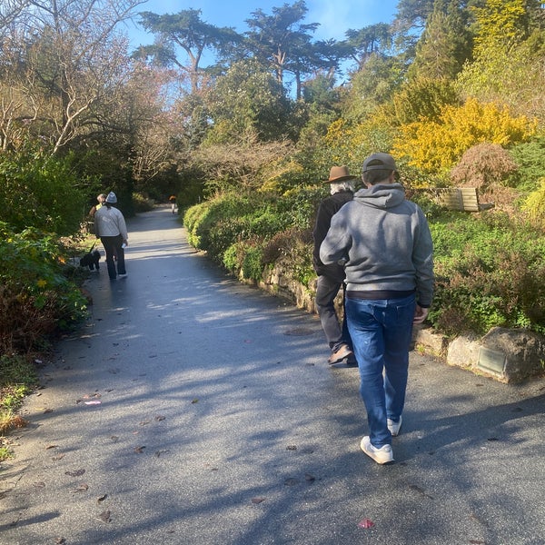 Photo taken at San Francisco Botanical Garden by Dominic P. on 2/5/2023