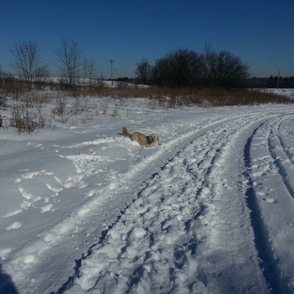 Photos at Wauwatosa Dog Park Dog Run in Wauwatosa