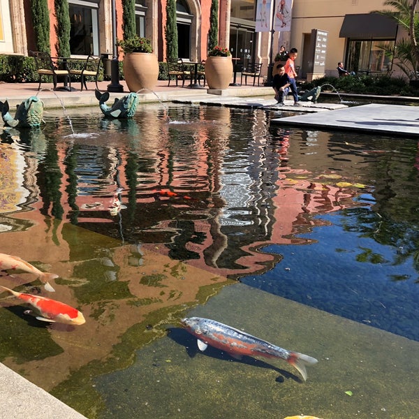 Koi Pond - Garden in Newport Beach