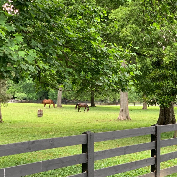 5/19/2019 tarihinde Emily M.ziyaretçi tarafından Belle Meade Plantation'de çekilen fotoğraf