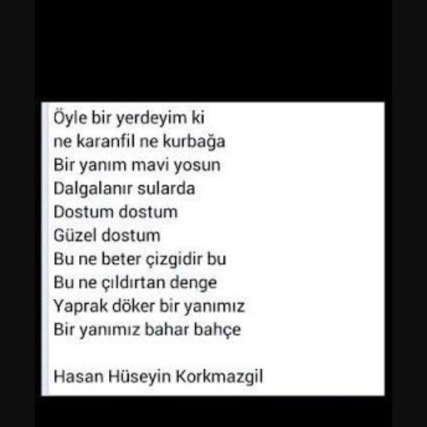 maşallah indir hint lion club karasu