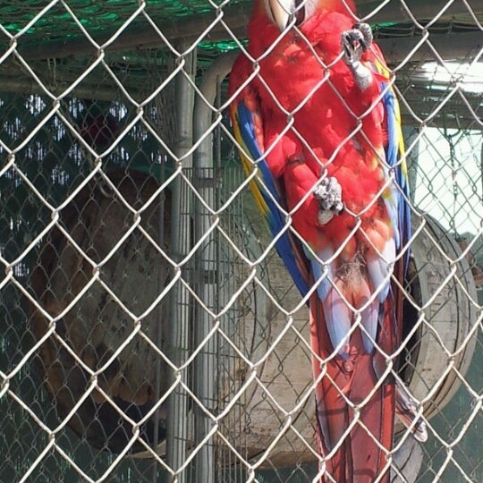 Zoo To You Education - Zoo