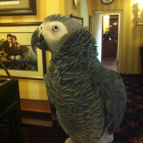 5/25/2013 tarihinde Jenny H.ziyaretçi tarafından Abbeyglen Castle Hotel'de çekilen fotoğraf