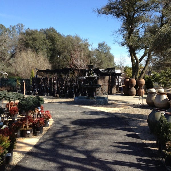 Bushnell Gardens Nursery Granite Bay, CA
