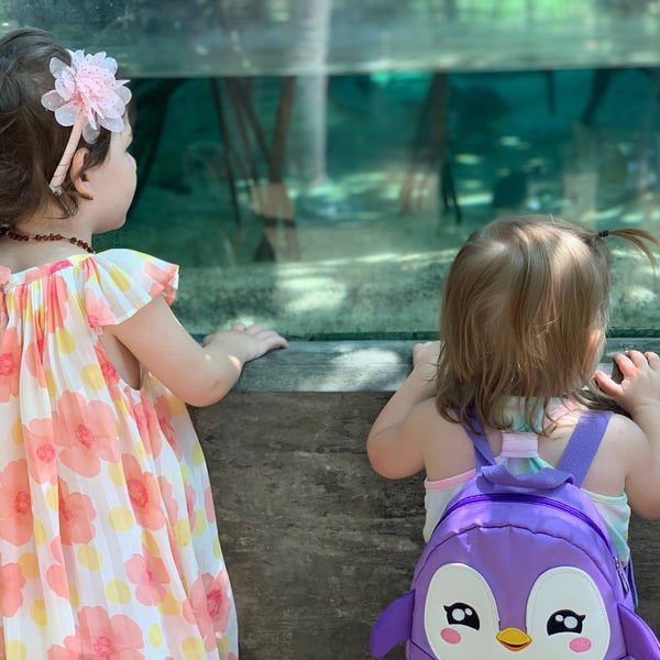 Foto tirada no(a) The Florida Aquarium por Beth G. em 5/4/2023