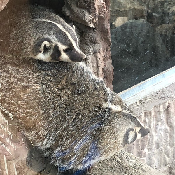 Photo taken at Henry Vilas Zoo by jim k. on 3/27/2019