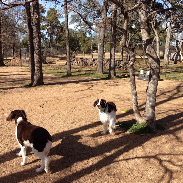 2/14/2014 tarihinde Christina Q.ziyaretçi tarafından Dog House Drinkery Dog Park'de çekilen fotoğraf