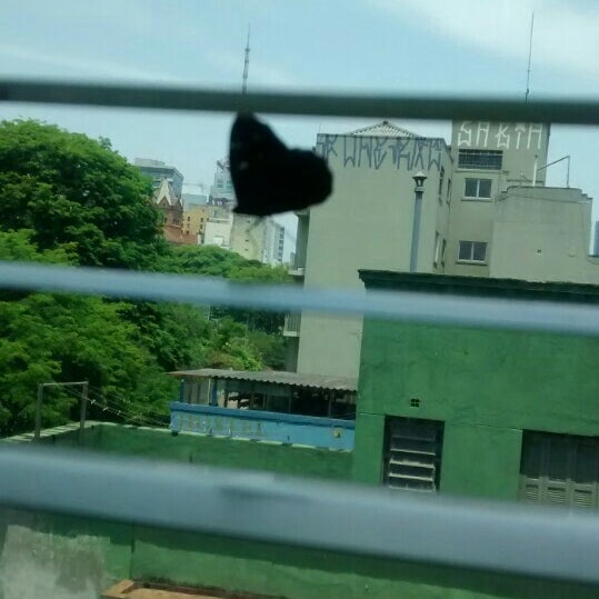 lojas do grupo netshoes