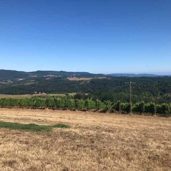 Photo taken at Fairsing Vineyard by Alison A. on 8/18/2019