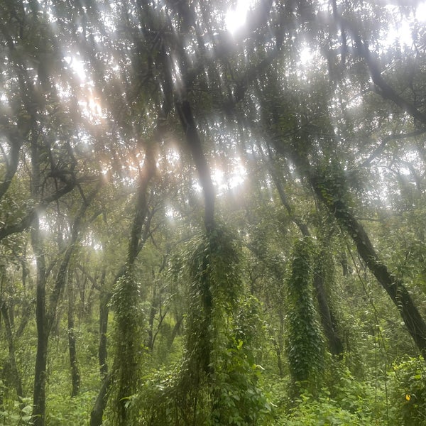 รูปภาพถ่ายที่ Bosque de Tlalpan โดย Karla E. เมื่อ 8/21/2022