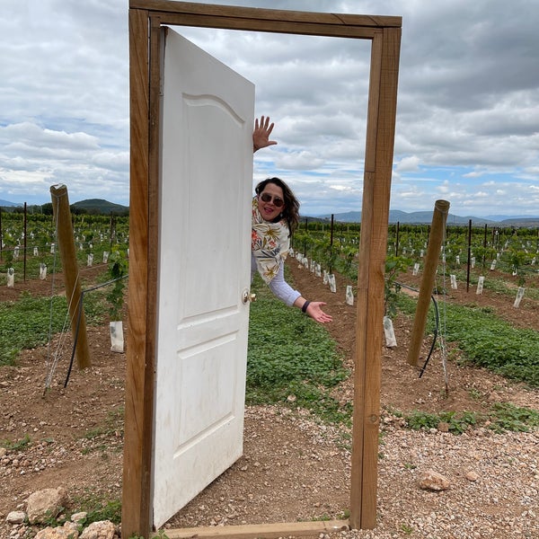 Foto diambil di Viñedos La Redonda oleh Karla E. pada 6/12/2021