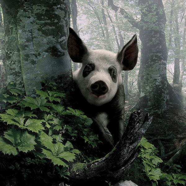 Было бы смешно если бы не было так грустно картинки