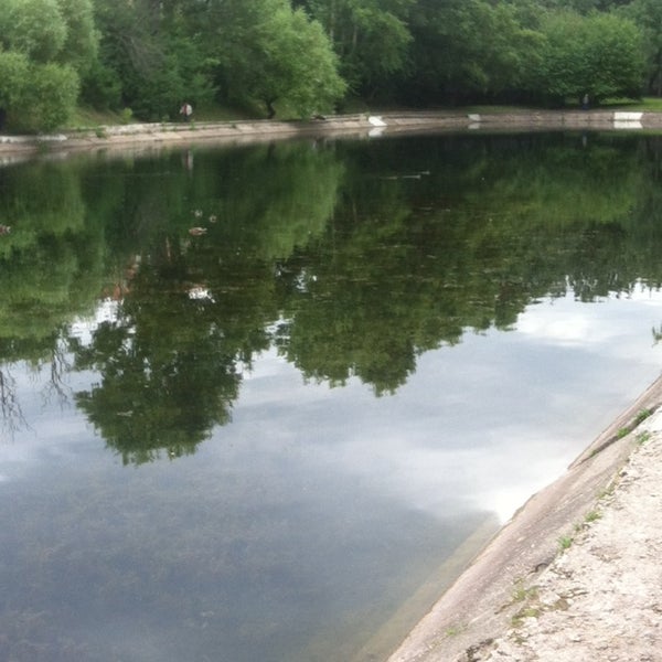 Пруд зеленка нахимовский проспект. Сергиевка озеро. Пруд зеленка. Пруд зеленка. Город фокино озеро зелёнка.