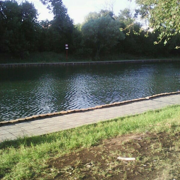 Средний пруд зюзино. Пруд зеленка. Пруд зелёнка москва. Рыбалка матвеевка веневский район. Пруд зелёнка москва.