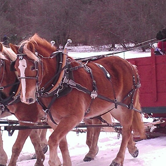 Photos at Skyline Lodge at Highland Forest Fabius, NY
