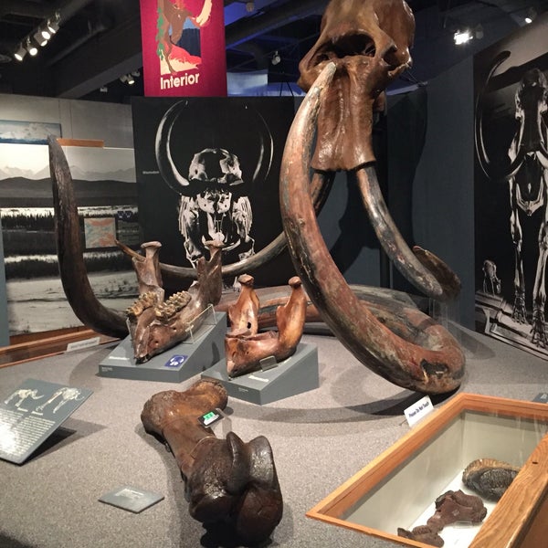 11/23/2016에 Joanne C.님이 University of Alaska Museum of the North에서 찍은 사진