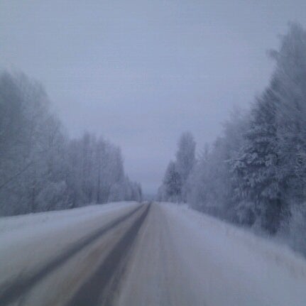 автобус петербург крестцы