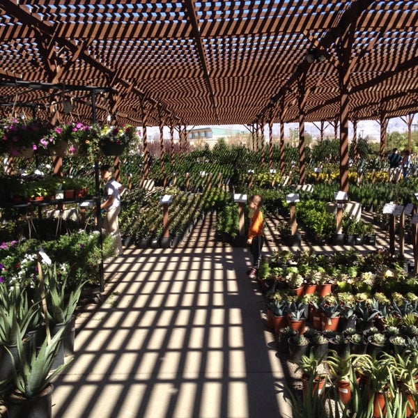 Star Nursery 2600 W Ann Rd