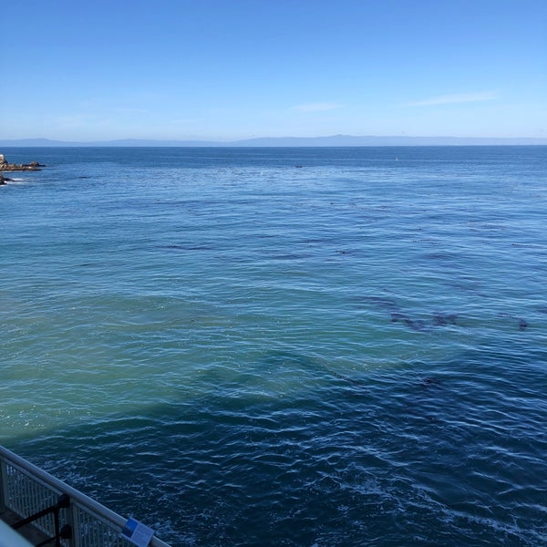 Foto scattata a Monterey Bay Aquarium da Kent il 1/5/2024