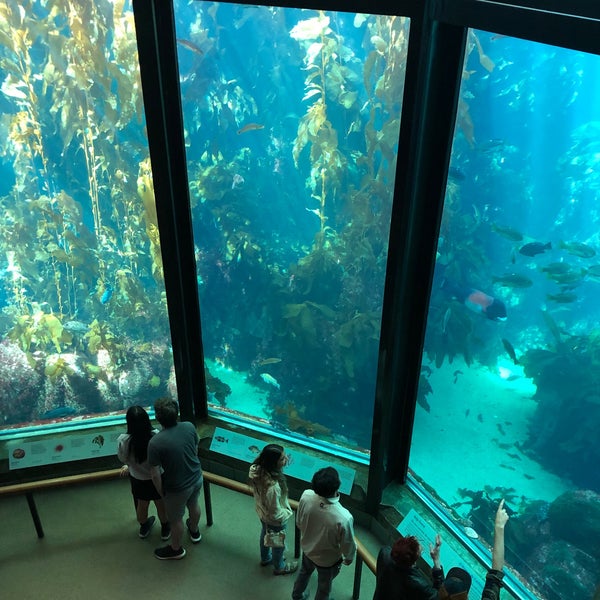 รูปภาพถ่ายที่ Monterey Bay Aquarium โดย Kent เมื่อ 9/10/2023