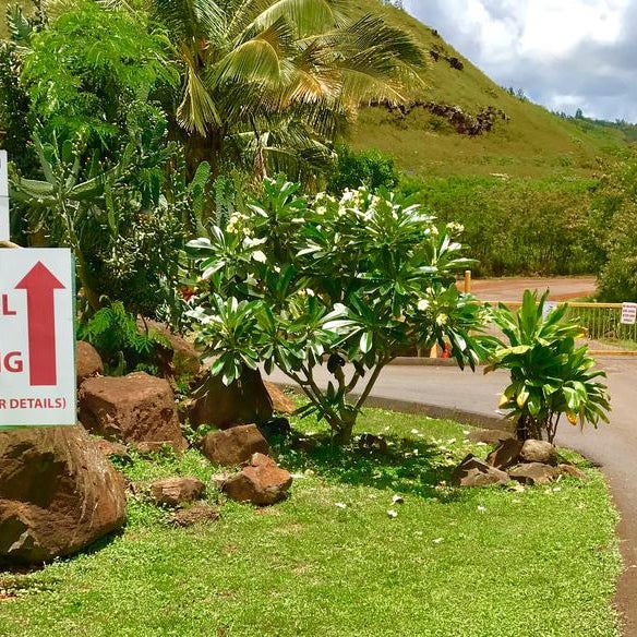 Waikele Self Storage Hours Dandk Organizer