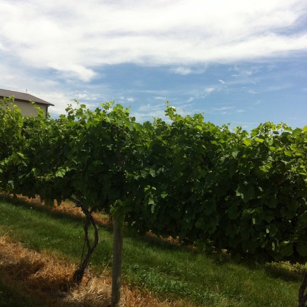 Das Foto wurde bei Madison County Winery von Payten R. am 7/19/2013 aufgenommen