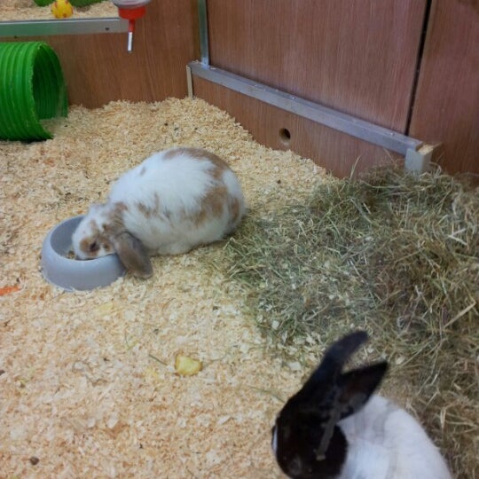 pets at home botley