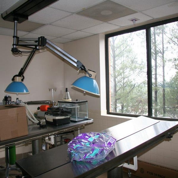 VCA Sandy Springs Animal Hospital Veterinarian