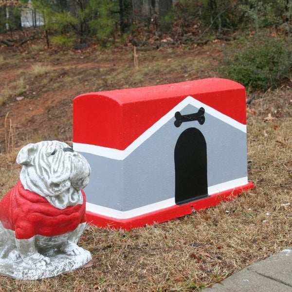 VCA Sandy Springs Animal Hospital Veterinarian