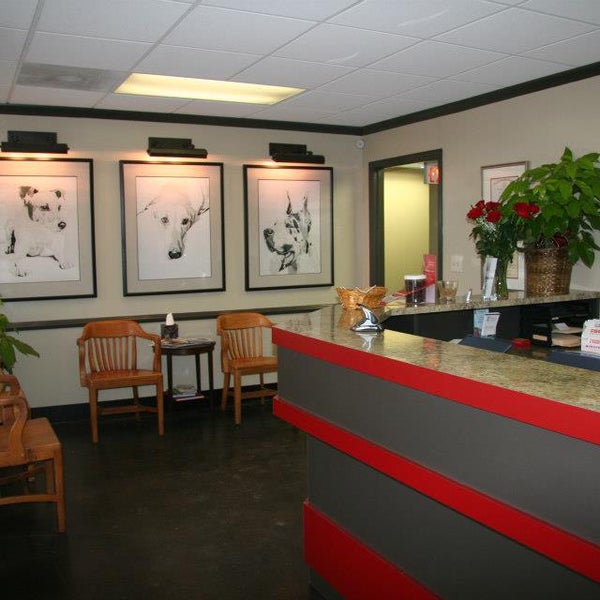 vca sandy animal hospital