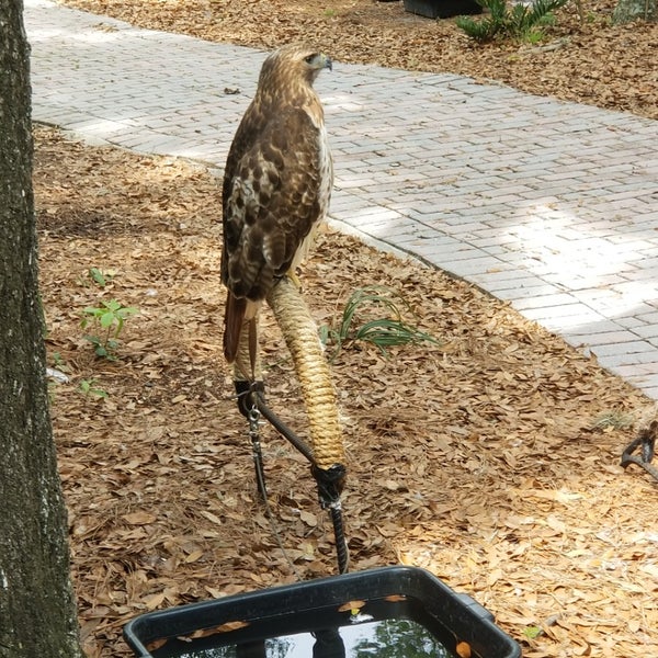 Photo taken at Audubon Center for Birds of Prey by Rachel L. on 4/6/2019