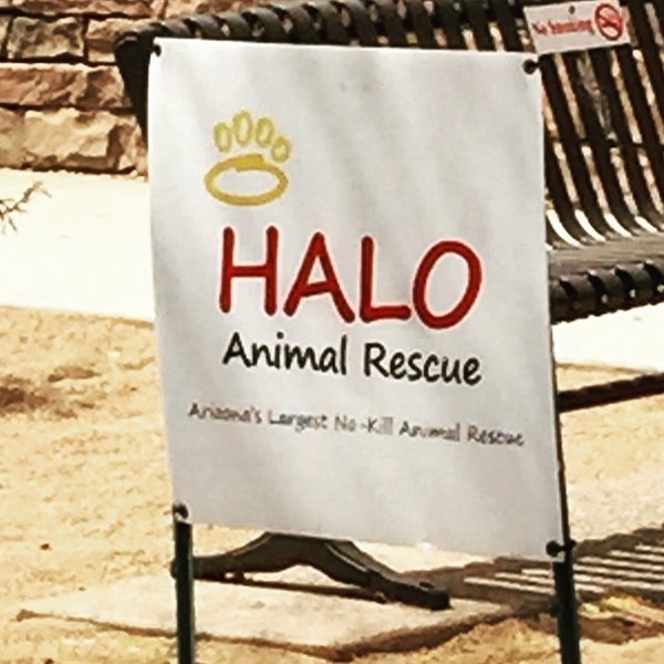 HALO Animal Rescue - Phoenix, AZ