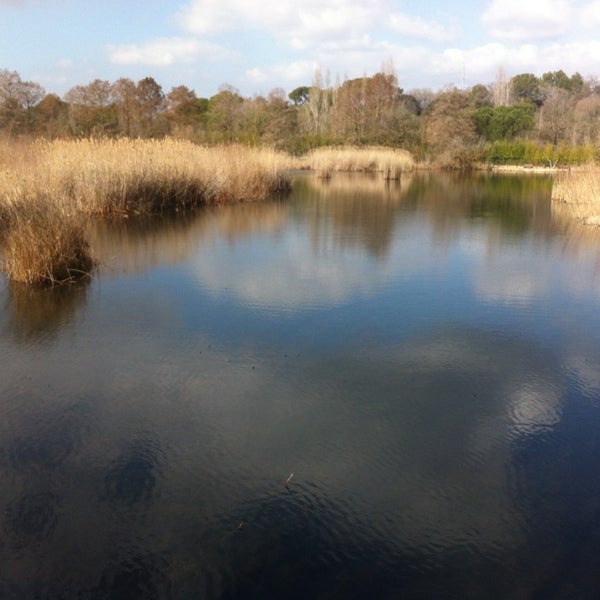 Etang da Fontmerle Promenade de l'etang
