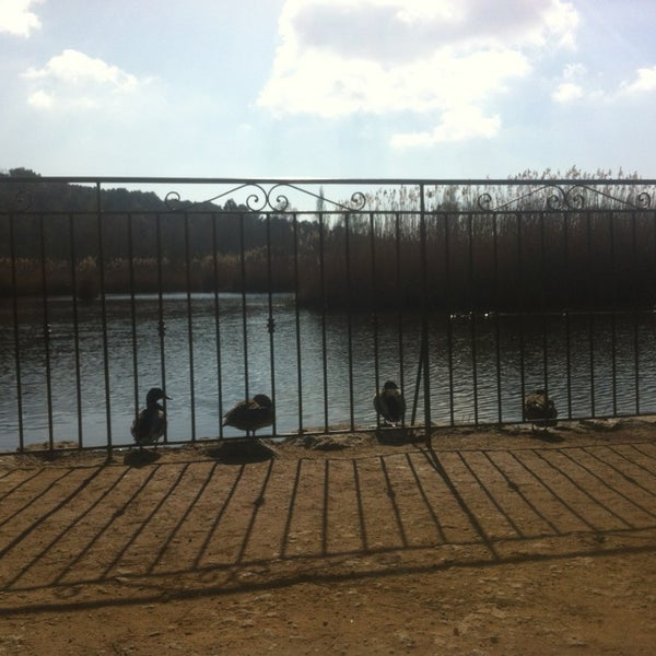 Etang da Fontmerle Promenade de l'etang