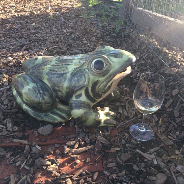Foto diambil di Frog&#39;s Leap Winery oleh Stacy pada 1/13/2018
