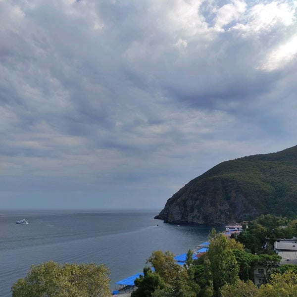 Осьминог Крым Партенит