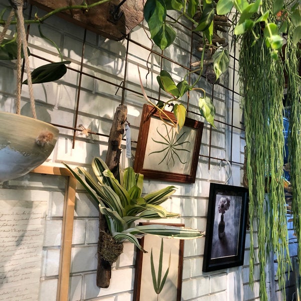 Growing Plants Oslo 福島区 北区大淀南3 2 4